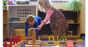 List of Top Montessori Schools in Delhi India