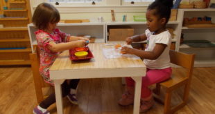 List of top Montessori schools in Kenya