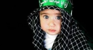 List of Shia New baby boys names 2024