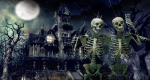 Halloween latest HD Wallpapers