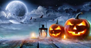 Halloween 2019 Whatsapp videos
