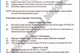 Matric Class English Guess Paper in Annual Exam 2020
