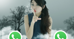 Vietnam girls Whatsapp number