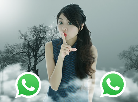 Vietnam girls Whatsapp number