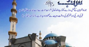 Shab e Barat Mubarak Whatsapp Status