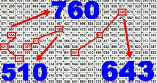 Thai Lottery Tips for 16 June 2020